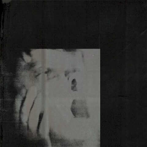 DITZ - Never Exhale